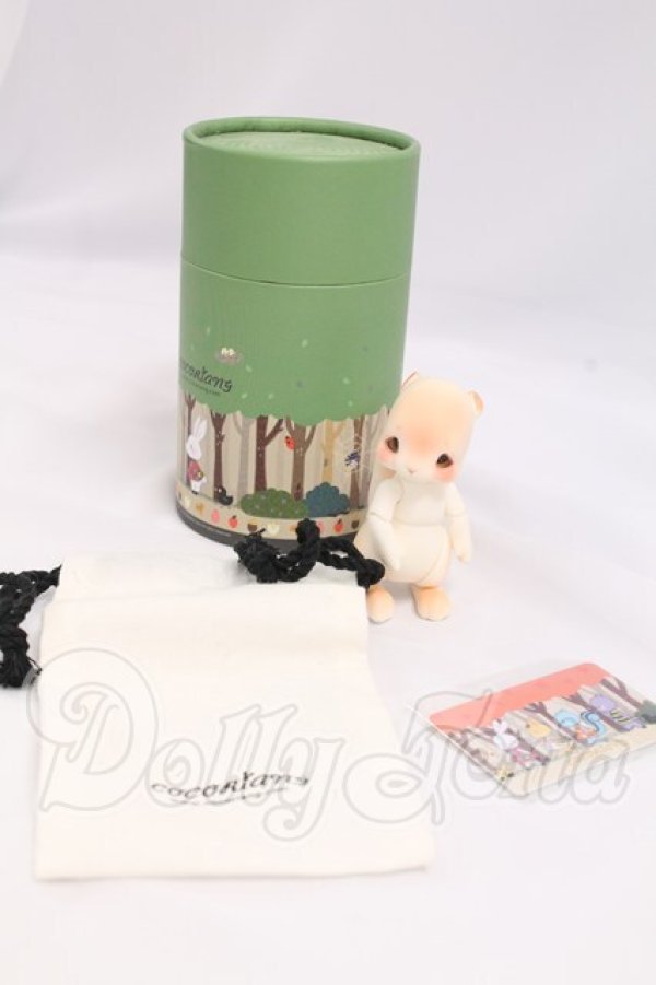 画像6: cocoriang /Cheeriya I-26-04-30-061-KD-ZI (6)