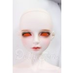 画像: LUTS/Senior65 Delf CARMINE I-26-05-28-104-KD-ZI