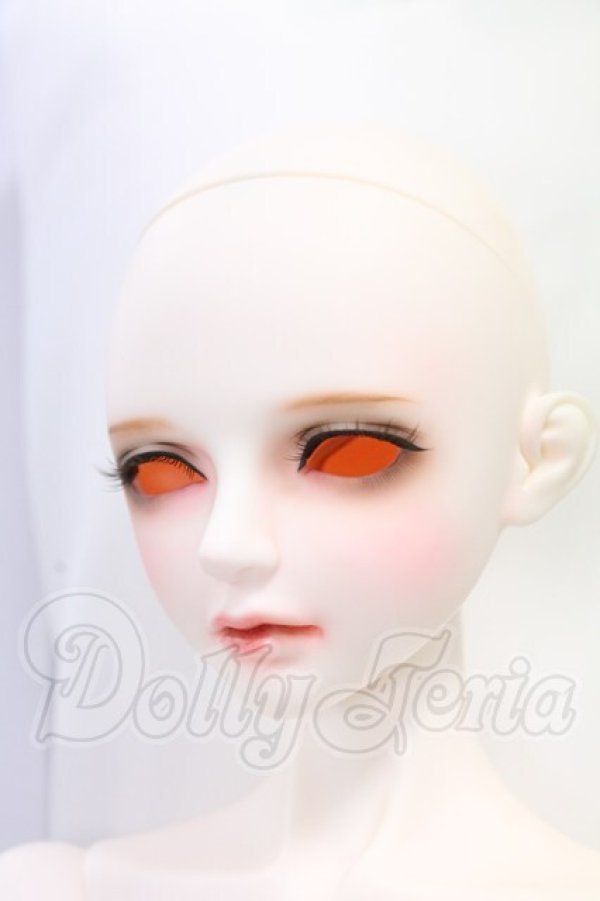 画像2: LUTS/Senior65 Delf CARMINE I-26-05-28-104-KD-ZI (2)