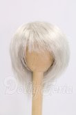 画像1: 7-8inch/ウィッグ I-26-05-14-306-KD-ZI (1)