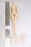 画像3: ボークス/1/6ボディ（EBビューティー） I-26-05-14-254-KD-ZI (3)