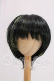 画像1: 8-9inch/ウィッグ I-26-05-14-312-KD-ZI (1)