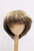 画像1: 8-9inch/ウィッグ I-26-05-14-311-KD-ZI (1)