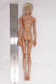 画像5: 六分の一男子図鑑/B2405　エイト I-26-05-14-252-KD-ZI (5)