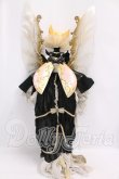 画像7: Coral Reef Doll/Unicorn Beetle I-26-05-28-051-KD-ZI (7)