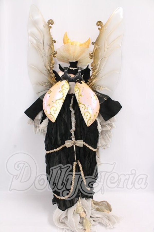 画像7: Coral Reef Doll/Unicorn Beetle I-26-05-28-051-KD-ZI (7)