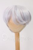 画像1: 8-9inch/ウィッグ I-26-05-28-170-KD-ZI (1)