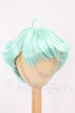 画像1: 8-8.5inch/ウィッグ I-26-05-21-247-KD-ZI (1)