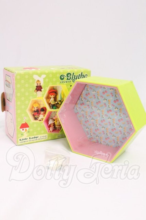 画像4: プチブライス/オフィシャルディスプレイケース I-26-05-21-345-KD-ZI (4)
