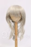 画像1: 9-10inch/ウィッグ I-26-05-28-209-KD-ZI (1)