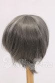 画像2: 9-10inch/ウィッグ I-26-05-28-212-KD-ZI (2)