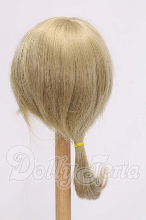 画像2: 9-10inch/ウィッグ I-26-05-28-214-KD-ZI (2)