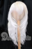 画像1: 8.5-9inch/ウィッグ I-26-05-28-205-KD-ZI (1)