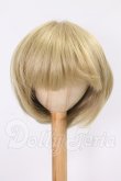 画像1: 8.5-9inch/ウィッグ I-26-05-28-198-KD-ZI (1)