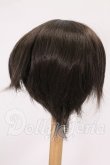 画像2: 8.5-9inch/ウィッグ I-26-05-28-196-KD-ZI (2)