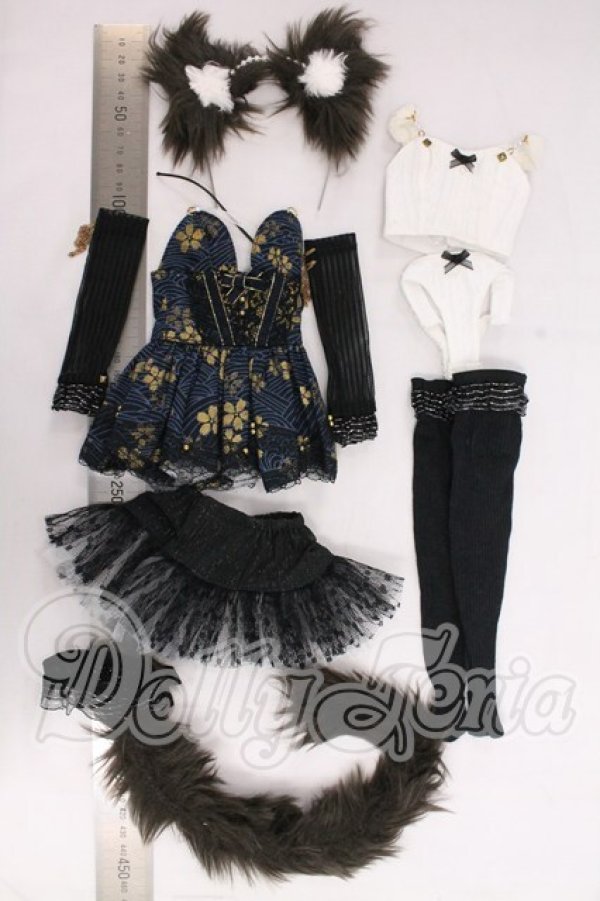 画像3: MDD/OF:衣装セット I-26-06-04-146-KD-ZI (3)