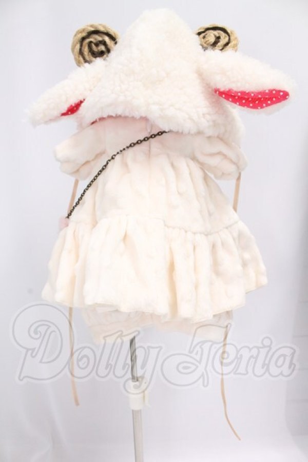画像2: MDD/OF:衣装セット I-26-06-04-155-KD-ZI (2)