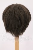 画像2: 9inch/ウィッグ I-26-05-21-250-KD-ZI (2)