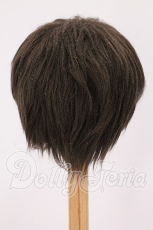 画像2: 9inch/ウィッグ I-26-05-21-250-KD-ZI (2)