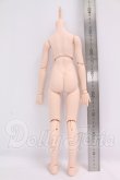 画像2: MDD/ベースボディ(DD-f3) I-26-05-28-110-KD-ZI (2)