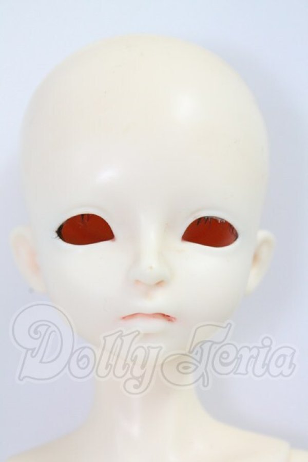 画像1: MyouDoll/1/4/Zuzana I-26-06-25-455-KD-ZI (1)