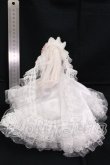 画像3: ミニスウィーツドール/スノーコレウス I-26-05-28-159-KD-ZI (3)