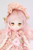 画像1: DOLLCE/ミニスウィーツドール：シロネ I-26-05-28-151-KD-ZI (1)