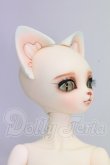画像2: DEAR MINE /ANGELA Rose skin 2014　spring　Limited I-26-06-18-101-KD-ZI (2)