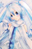 画像1: DD/雪ミク I-26-06-11-232-KD-ZI (1)