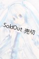 画像: DD/雪ミク I-26-06-11-232-KD-ZI