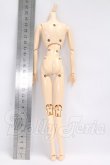 画像2: ボークス/1/6ボディ（ニューエクセレントベースモデル） I-26-06-04-073-KD-ZI (2)