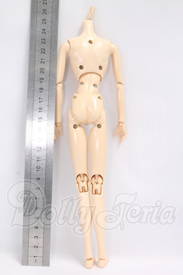画像2: ボークス/1/6ボディ（ニューエクセレントベースモデル） I-26-06-04-073-KD-ZI (2)