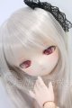 画像: DD/DDH-01 Fantastic World様製カスタムヘッド I-26-06-04-299-KD-ZI