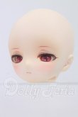 画像7: DD/DDH-01 Fantastic World様製カスタムヘッド I-26-06-04-299-KD-ZI (7)