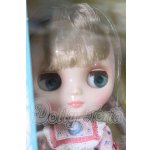 画像: ミディブライス/シュアリー・スザンヌ I-26-06-11-128-KD-ZI