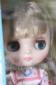 画像: ミディブライス/シュアリー・スザンヌ I-26-06-11-128-KD-ZI