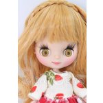 画像: プチブライス/カスタムプチブライス I-26-06-11-151-KD-ZI