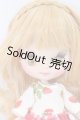 画像: プチブライス/カスタムプチブライス I-26-06-11-151-KD-ZI