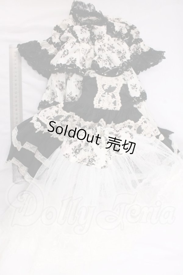 画像5: SD/OF:ディーラー様製ドレス I-26-06-11-244-KD-ZI (5)