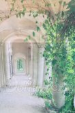 画像2: 背景布 I-26-06-11-277-KD-ZI (2)