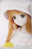 画像1: azone/リセ60 Gassy Plain DS I-26-06-11-226-KD-ZI (1)