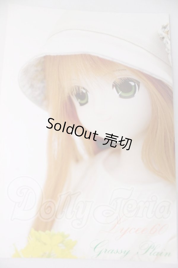 画像1: azone/リセ60 Gassy Plain DS I-26-06-11-226-KD-ZI (1)