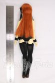 画像5: 1/6カスタムドール I-26-06-18-111-KD-ZI (5)