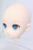 画像3: パラボックス/PB6006　Qちゃんヘッド I-26-06-18-115-KD-ZI (3)