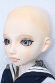 画像3: VISUADOLL/葵木 空 Basic I-26-06-11-224-KD-ZI (3)