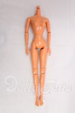 画像1: 1/6ドール/ボディ I-26-06-11-292-KD-ZI (1)