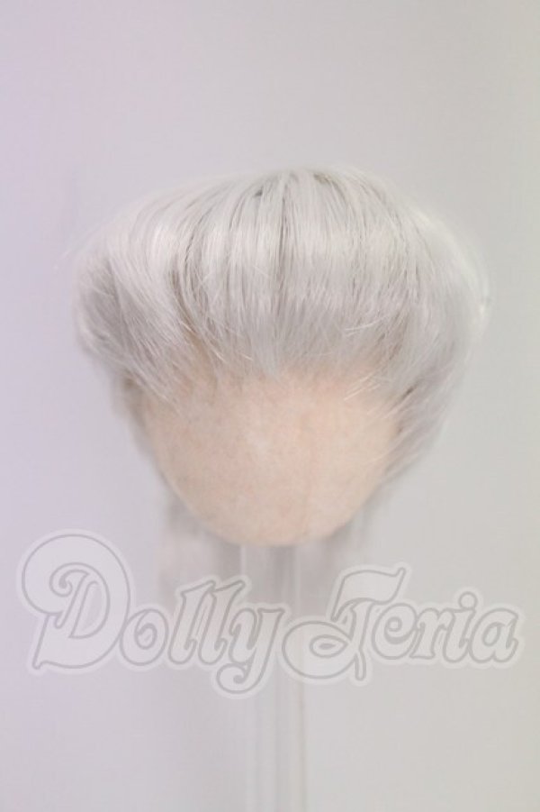 画像1: 4.5inch/ウィッグ I-26-06-11-318-KD-ZI (1)