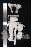 画像2: MDD/OF:衣装セット I-26-06-18-369-KD-ZI (2)