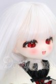 画像2: TinyFox/夕暮れ子猫 カサンドラ  I-26-06-18-221-KD-ZI (2)