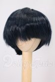 画像1: 6-7inch/ウィッグ I-26-06-25-027-KD-ZI (1)